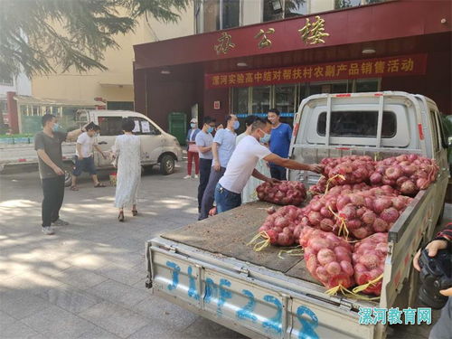 黨建引領(lǐng)消費(fèi)扶貧，助力脫貧攻堅(jiān)——漯河實(shí)驗(yàn)高中開(kāi)展結(jié)對(duì)幫扶村農(nóng)副產(chǎn)品銷售活動(dòng)